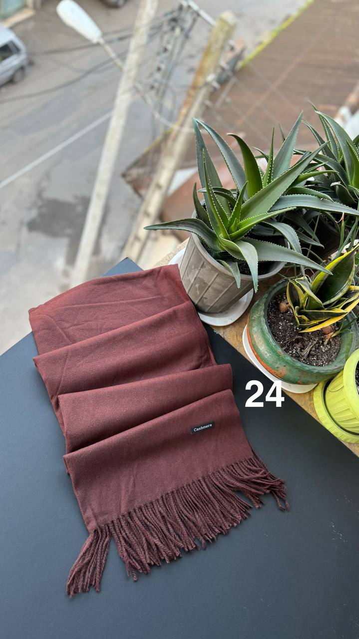 photo_1_2025-12-06_06-19-19