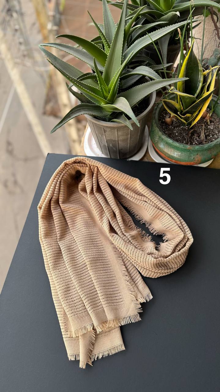 photo_1_2025-12-06_18-23-39