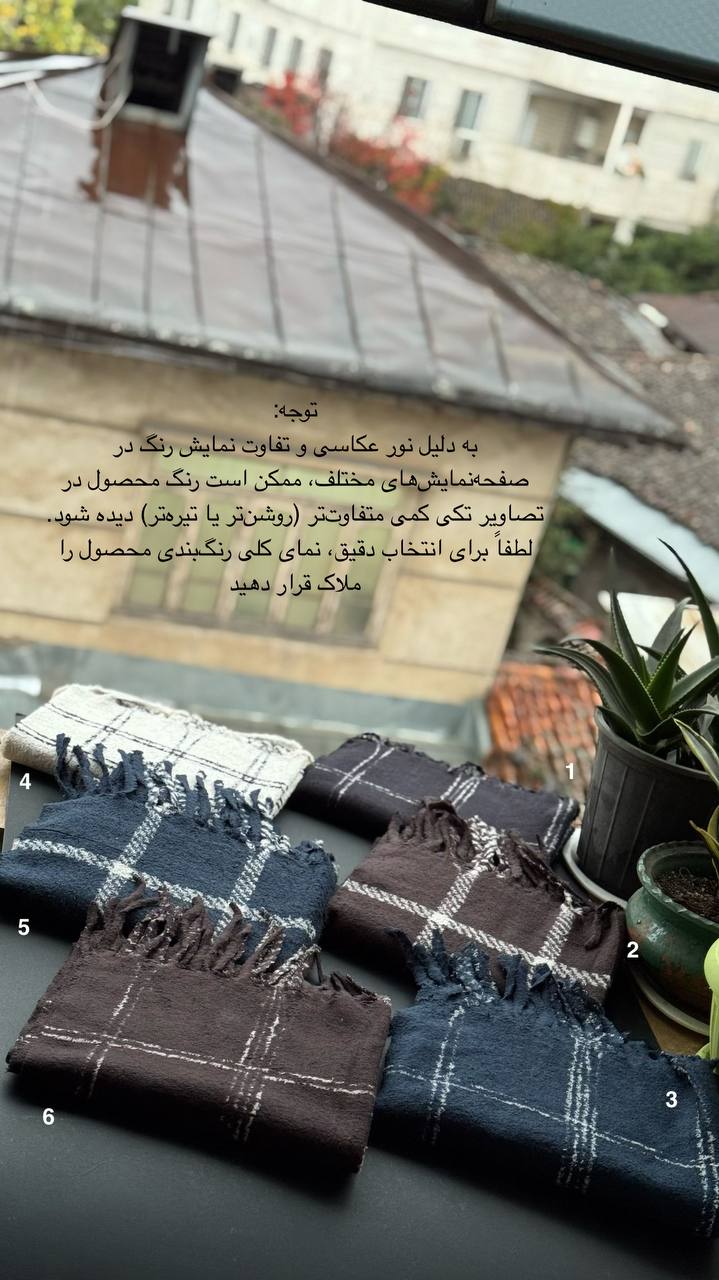 photo_1_2025-12-10_16-39-30