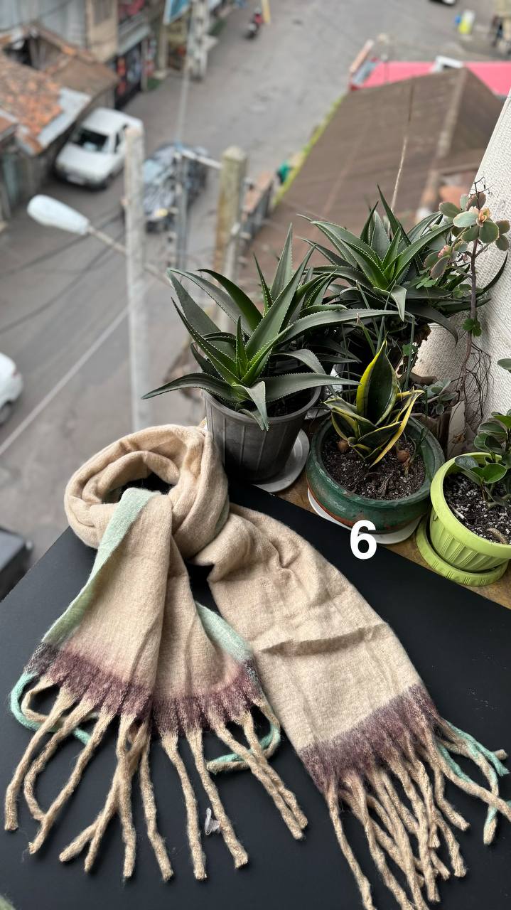 photo_20_2025-12-08_17-13-42