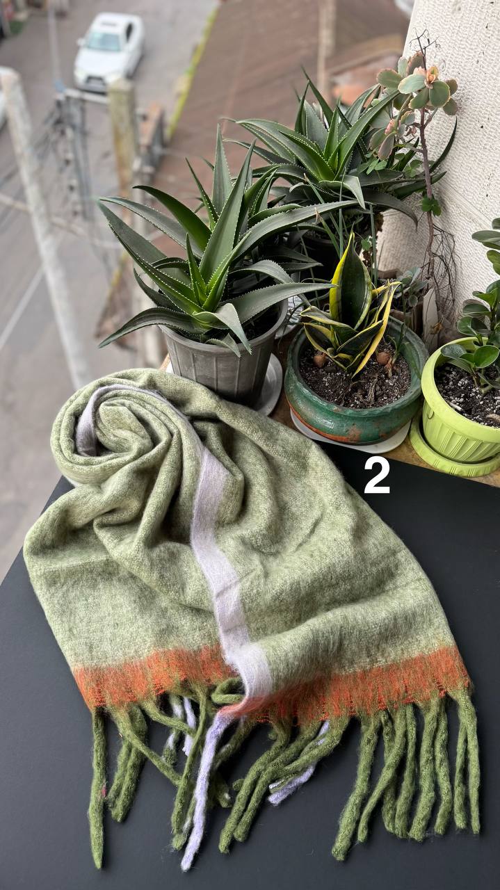 photo_24_2025-12-08_17-13-42