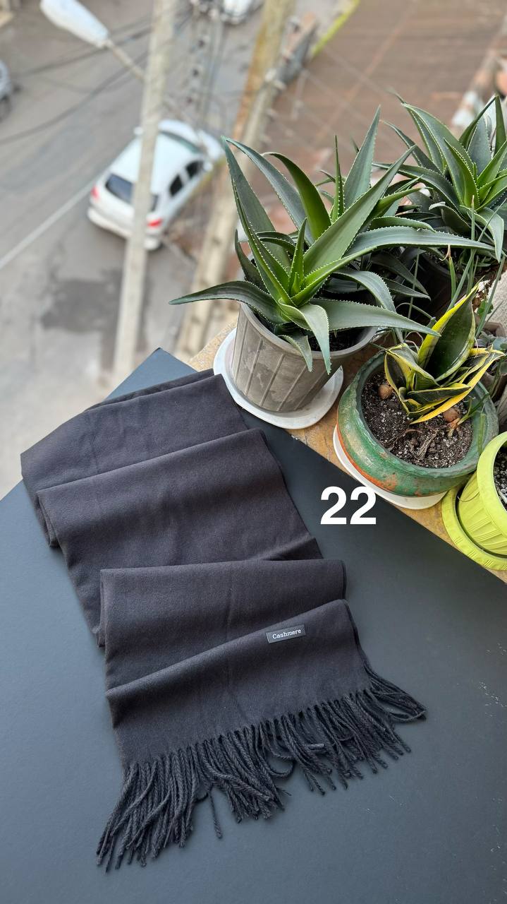 photo_2_2025-12-06_06-19-19