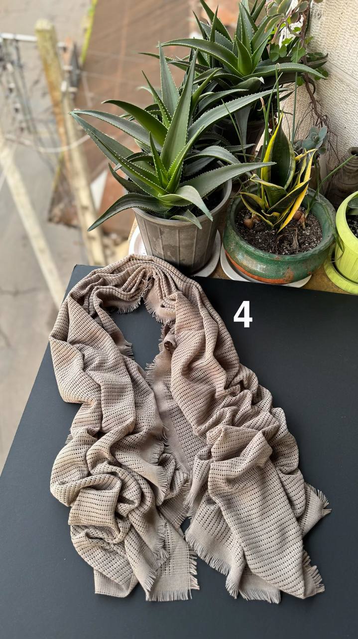 photo_2_2025-12-06_18-23-39