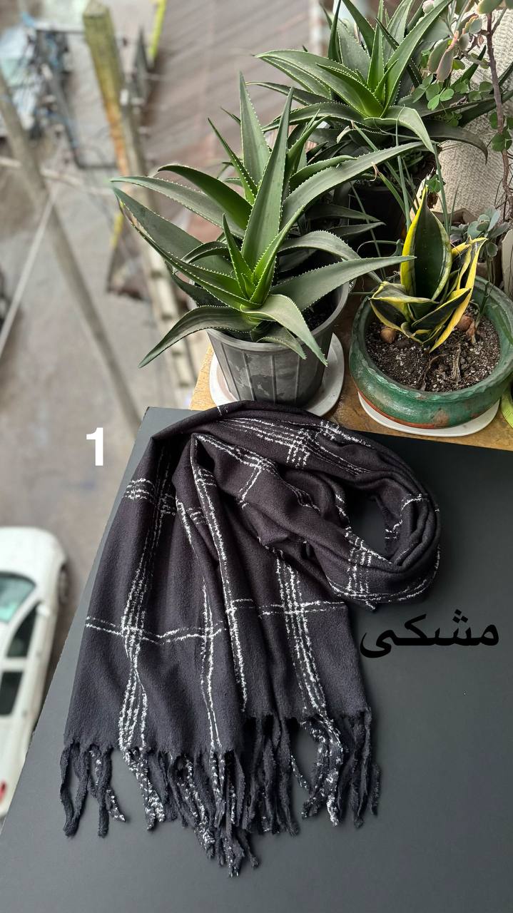 photo_2_2025-12-10_16-39-30