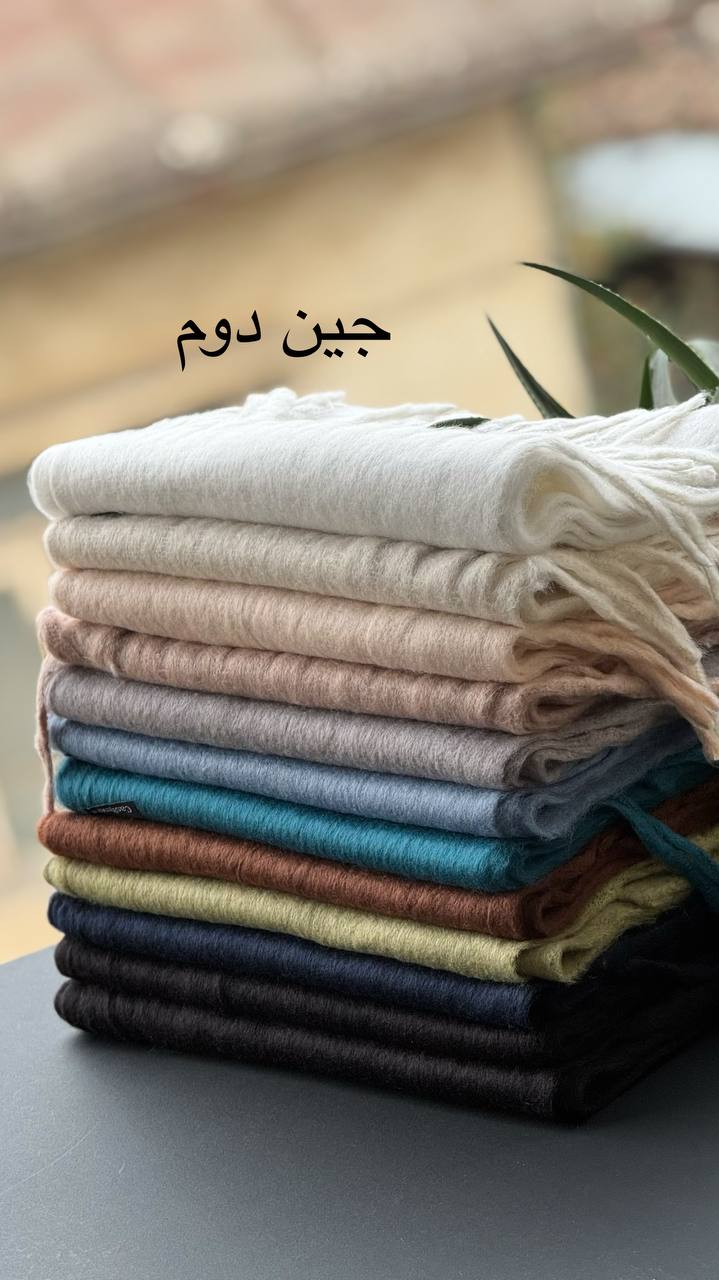 photo_37_2025-12-03_16-55-39