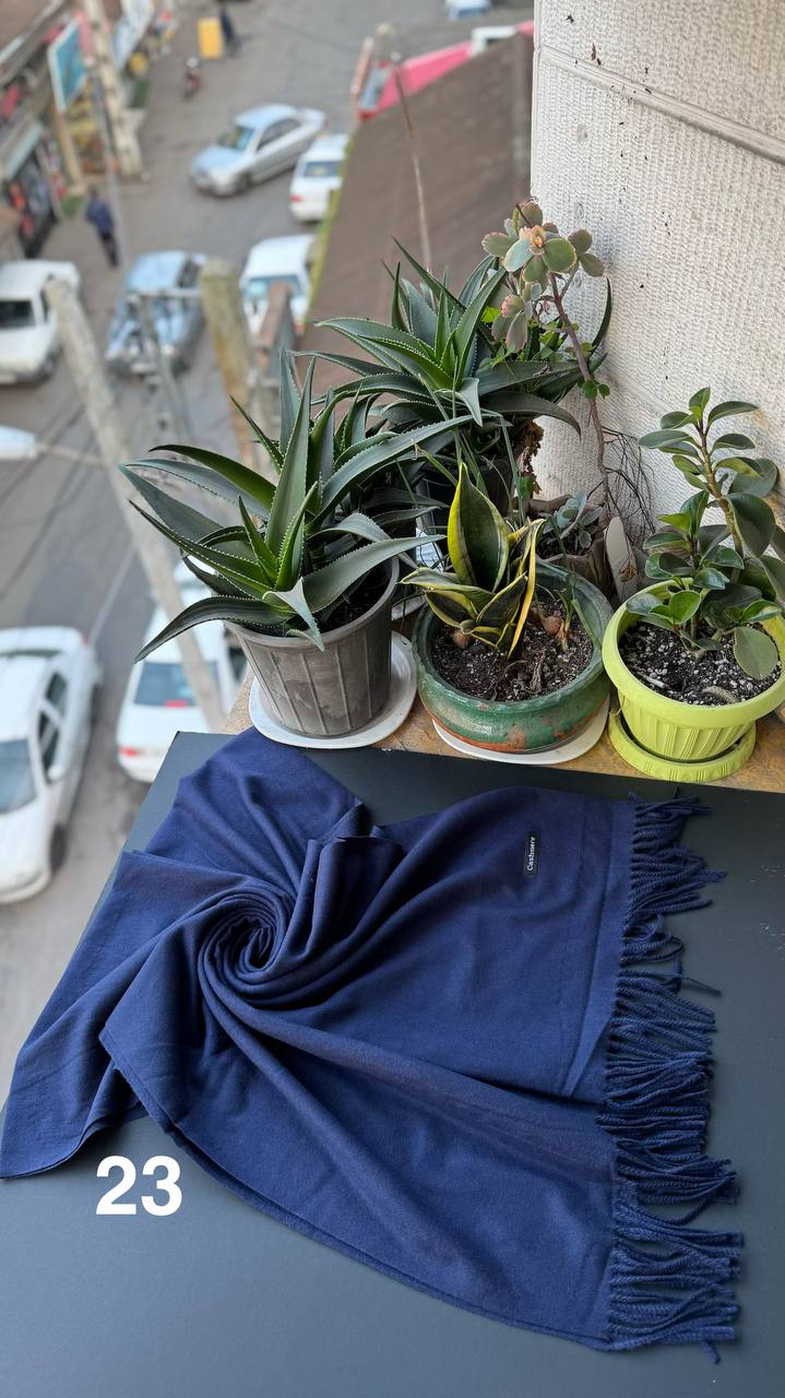 photo_3_2025-12-06_06-19-19