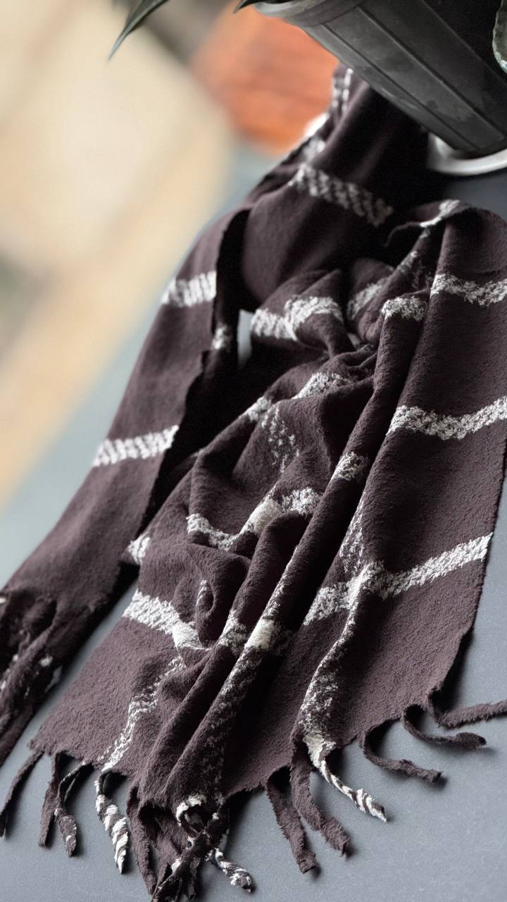 photo_3_2025-12-10_16-39-30