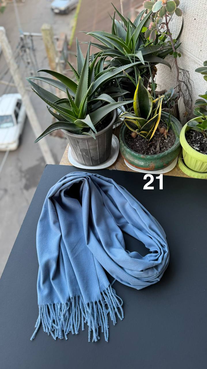 photo_4_2025-12-06_06-19-19