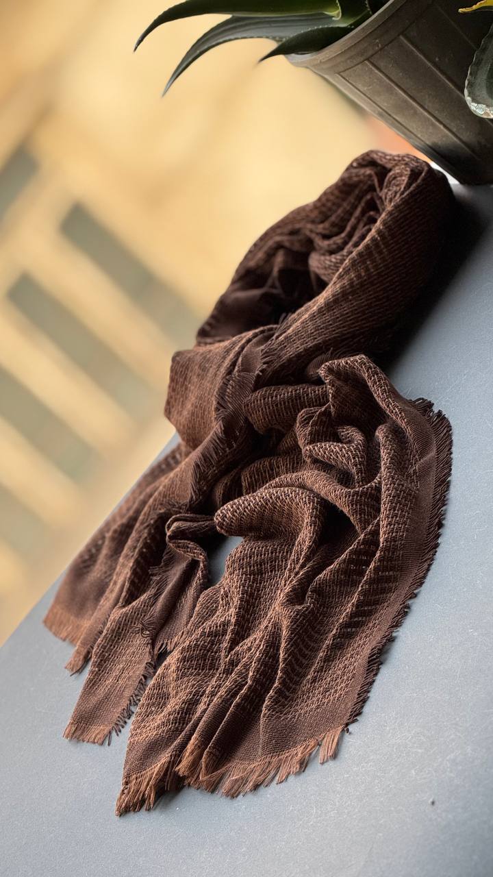 photo_4_2025-12-06_18-23-39