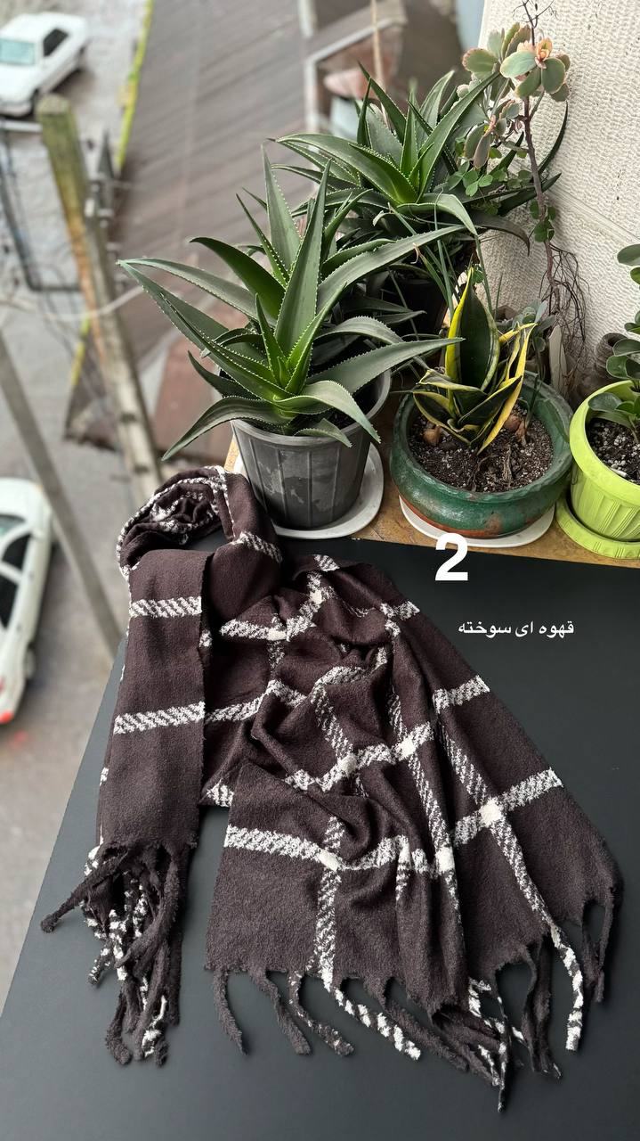 photo_4_2025-12-10_16-39-30