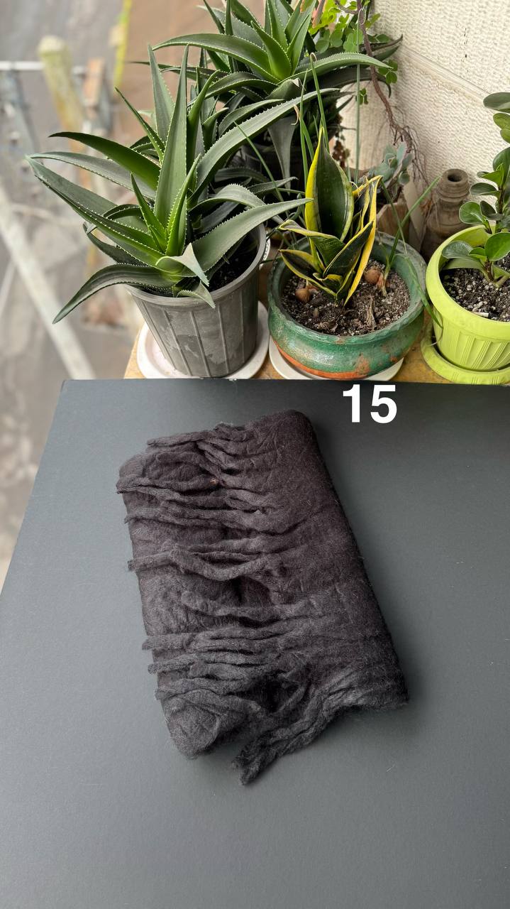 photo_5_2025-12-03_16-55-39