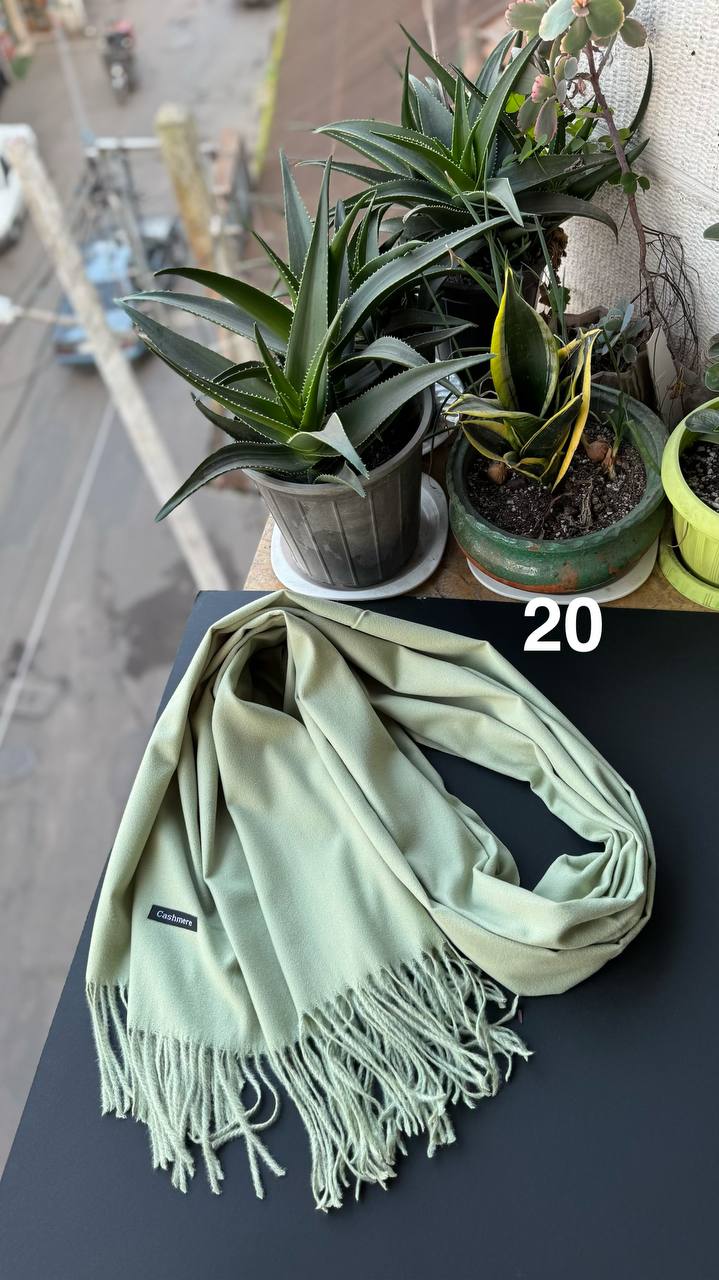 photo_5_2025-12-06_06-19-19