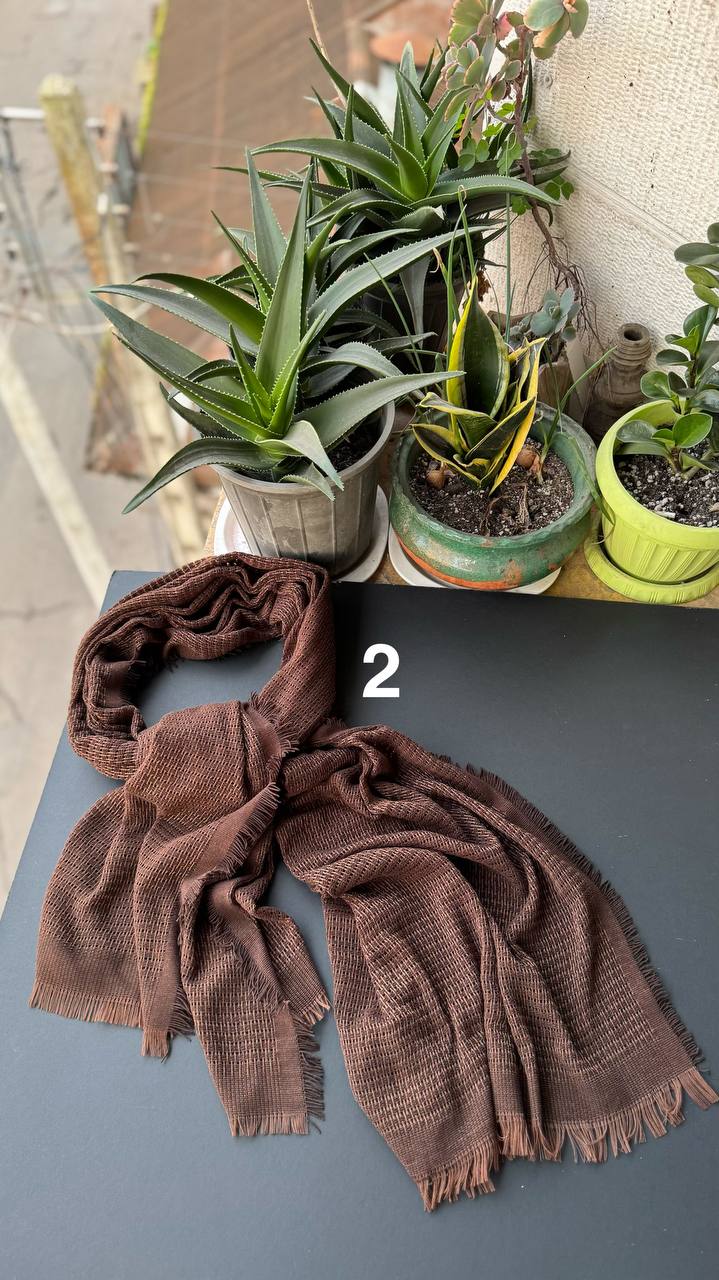 photo_5_2025-12-06_18-23-39