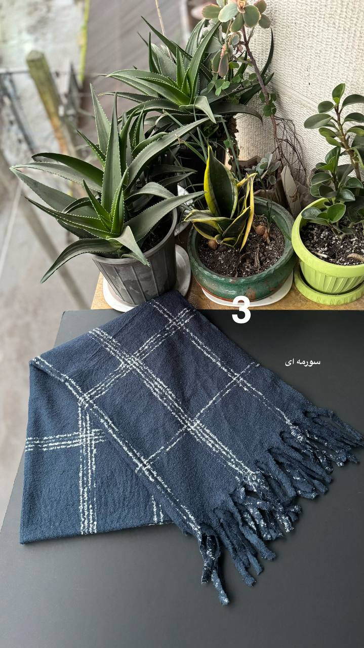 photo_5_2025-12-10_16-39-30