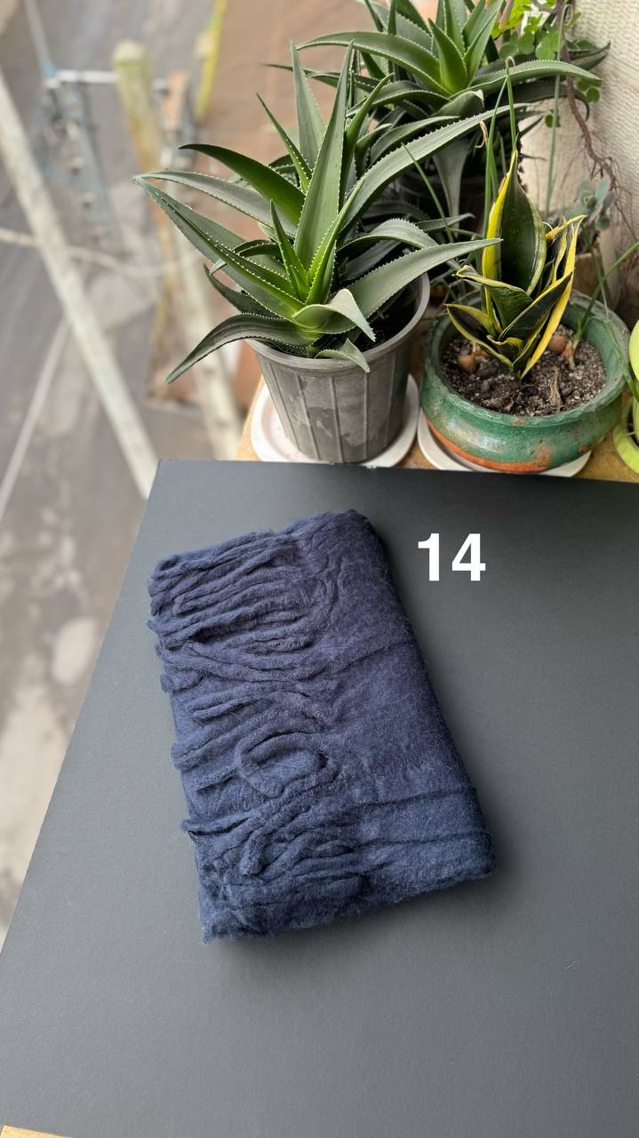 photo_6_2025-12-03_16-55-39