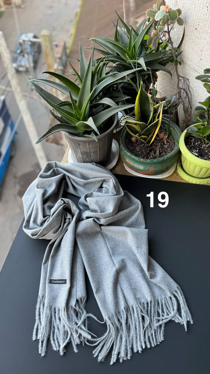 photo_6_2025-12-06_06-19-19