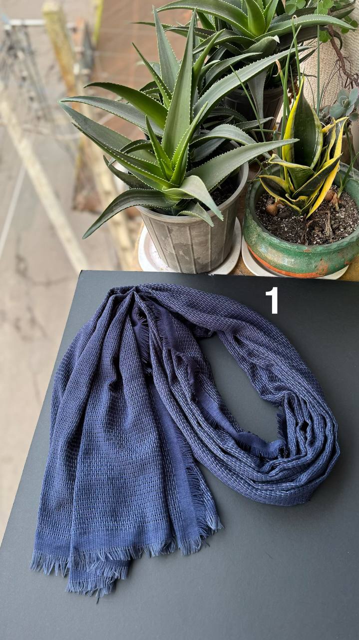 photo_6_2025-12-06_18-23-39