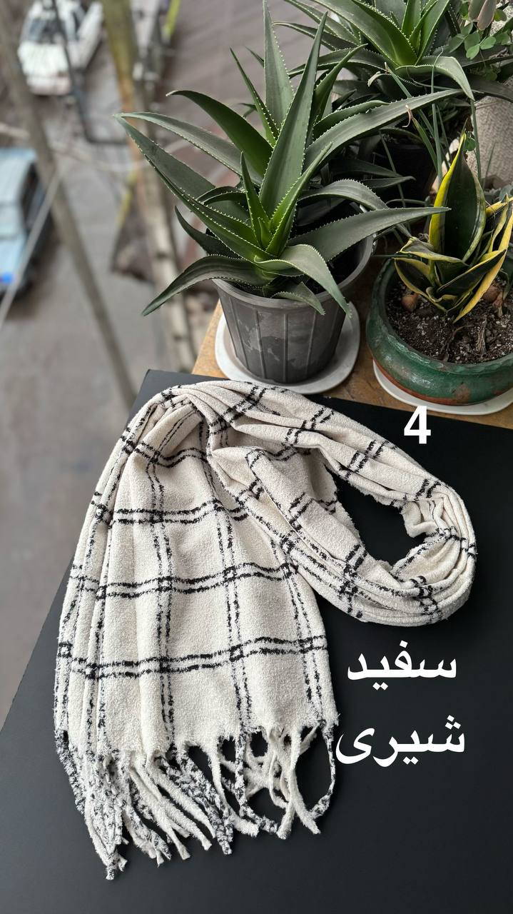 photo_6_2025-12-10_16-39-30