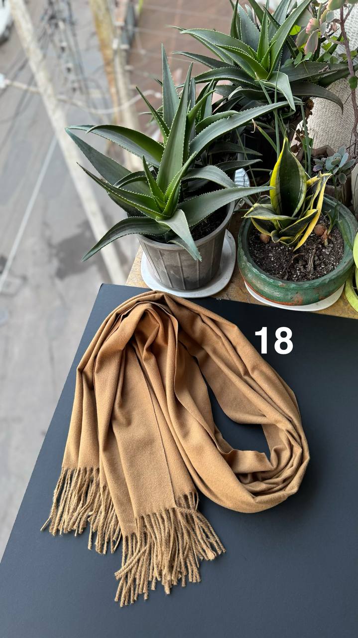 photo_7_2025-12-06_06-19-19