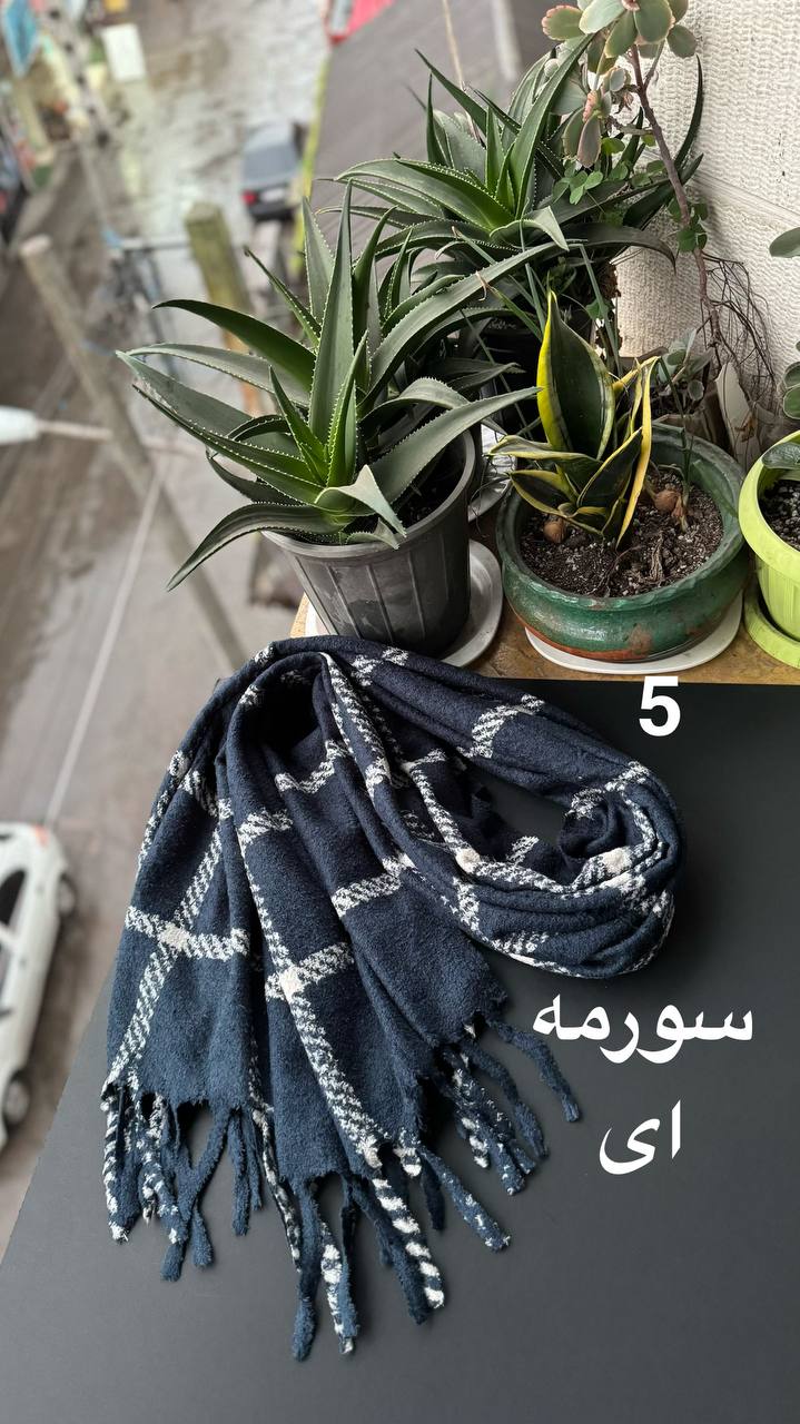 photo_7_2025-12-10_16-39-30