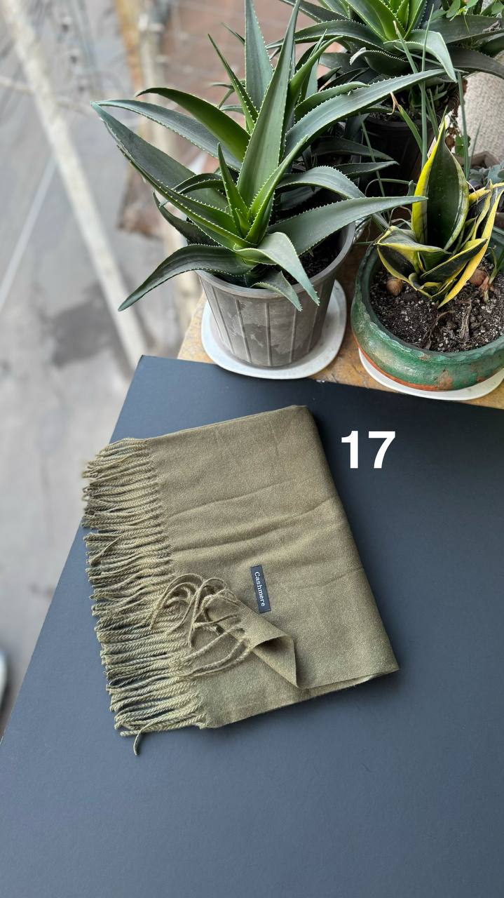 photo_8_2025-12-06_06-19-19