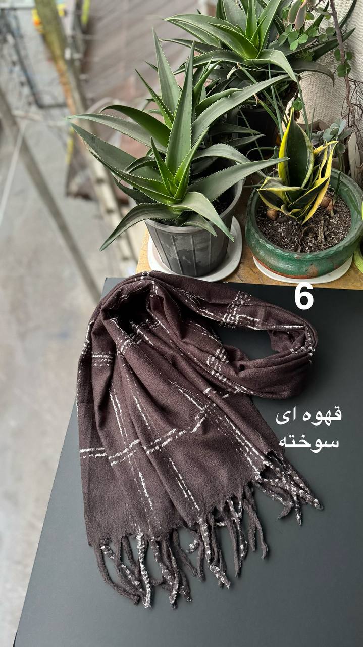 photo_8_2025-12-10_16-39-30