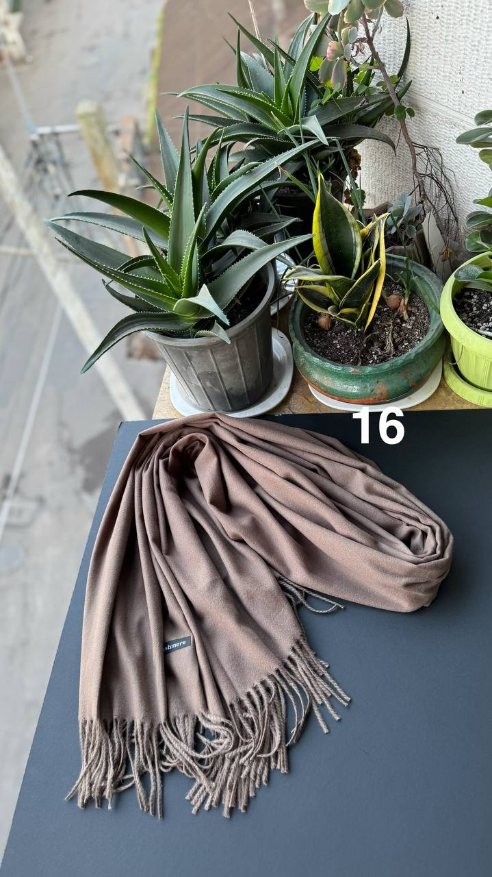 photo_9_2025-12-06_06-19-19