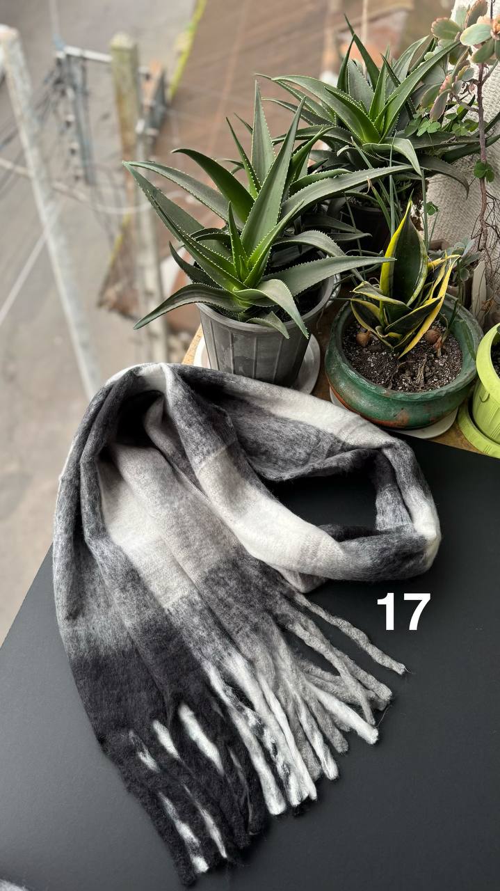 photo_9_2025-12-08_17-13-42