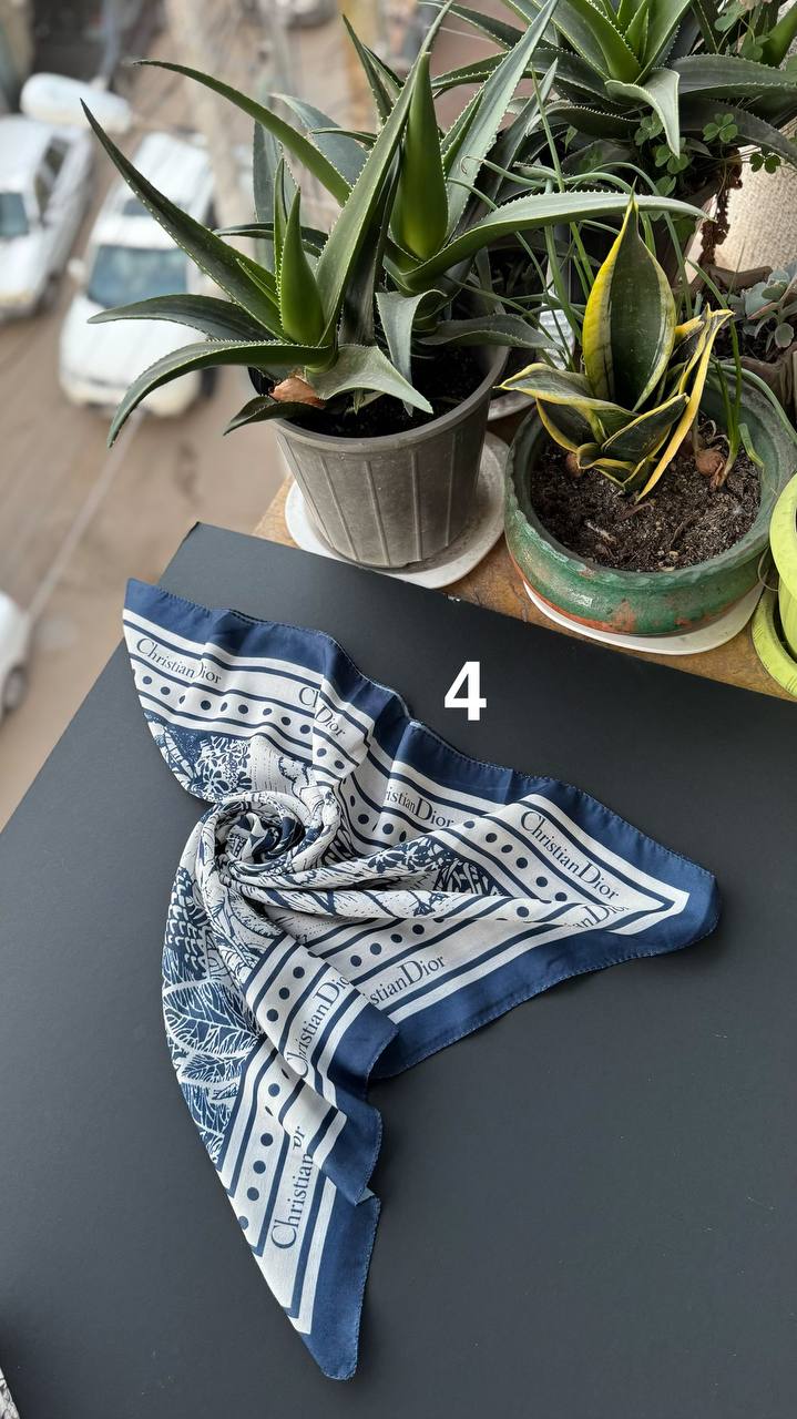 photo_3_2026-01-06_16-47-00