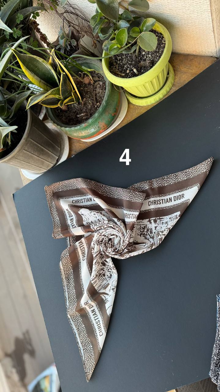 photo_3_2026-01-06_17-05-30