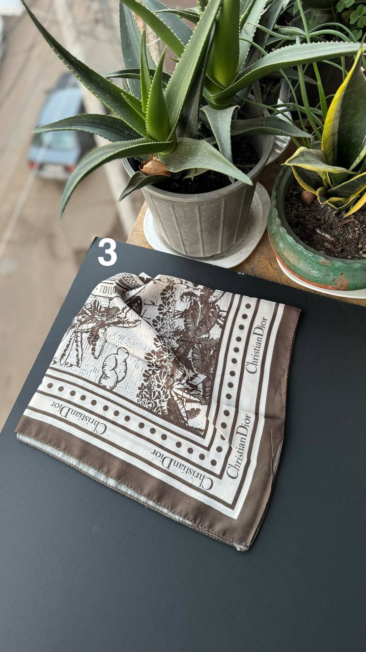 photo_4_2026-01-06_16-47-00